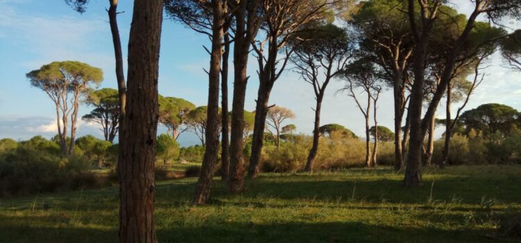 Η προστασία του περιβάλλοντος είναι υπόθεση όλων μας