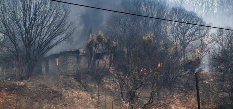<strong>Άμεση ανάγκη αποκατάστασης των πληγεισών περιοχών και των κατοίκων τους από τις πυρκαγιές στην Πάτρα και τη Δυτική Αχαΐα</strong>